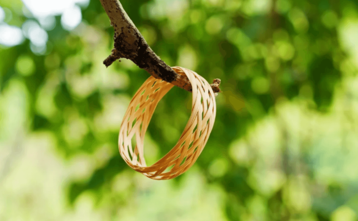 bamboo bangle